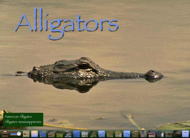 Screenshot-1.png